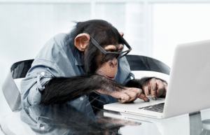Chimps in the workplace? Truly an equal opportunity institution!